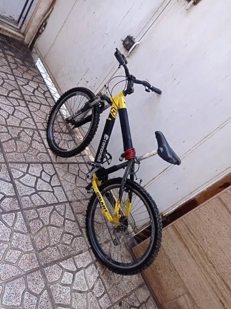 دوچرخه ۲۶ کنوندل|دوچرخه، اسکیت، اسکوتر|هشتگرد, مدرس|دیوار