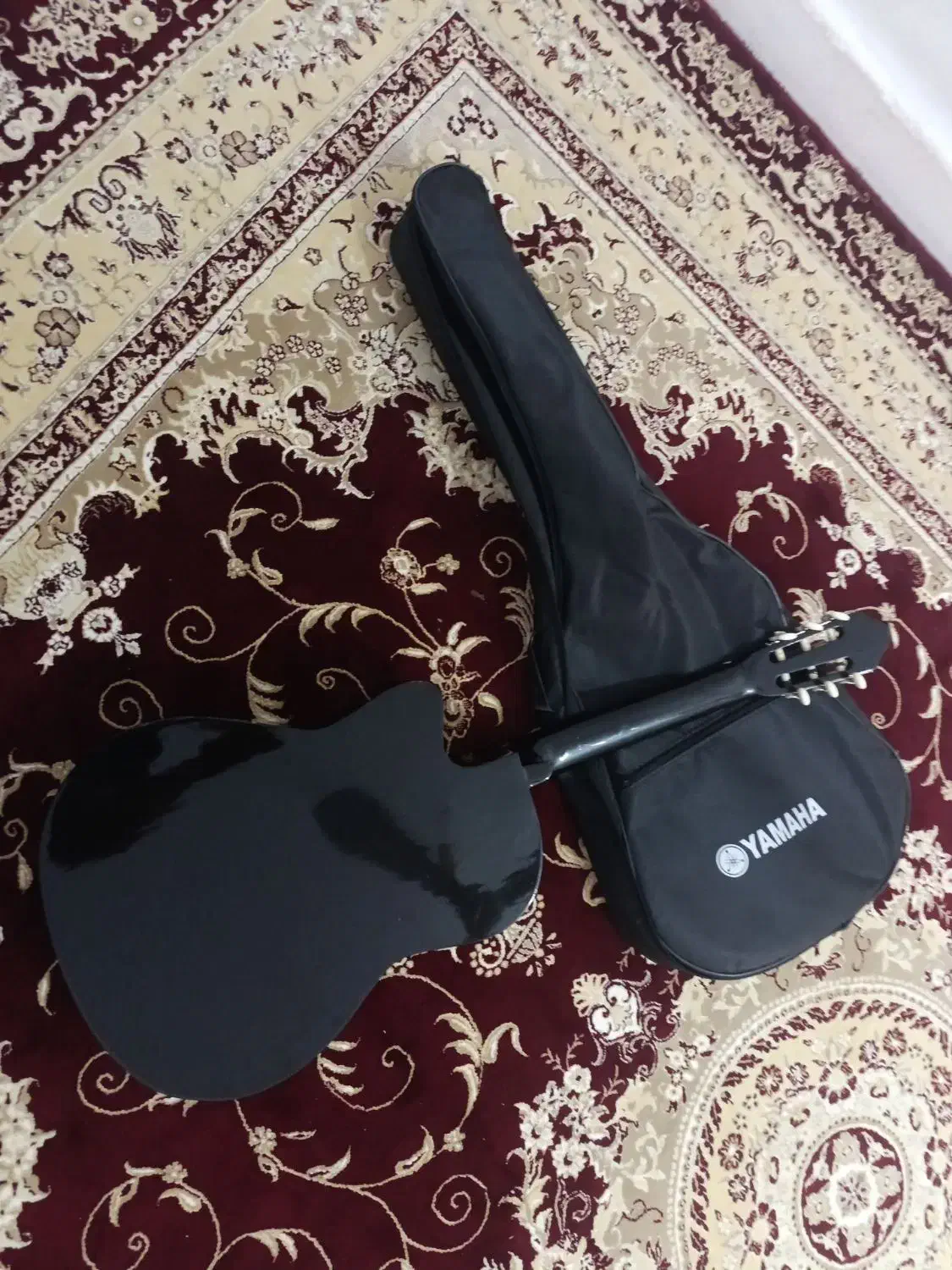 گیتار|گیتار، بیس، امپلیفایر|تهران, امیرآباد|دیوار