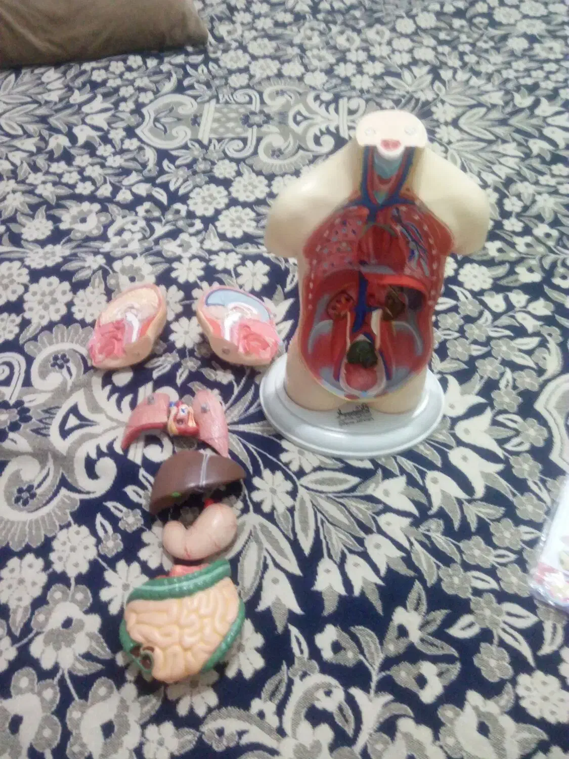 مولاژ|اسباببازی|تهران, شهید فکوری|دیوار