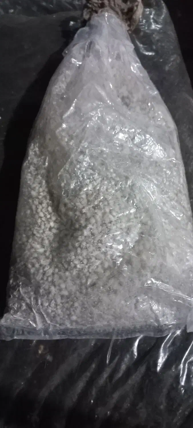 بذرقارچ دکمه ای|خدمات باغبانی و درختکاری|بندر ماهشهر, |دیوار