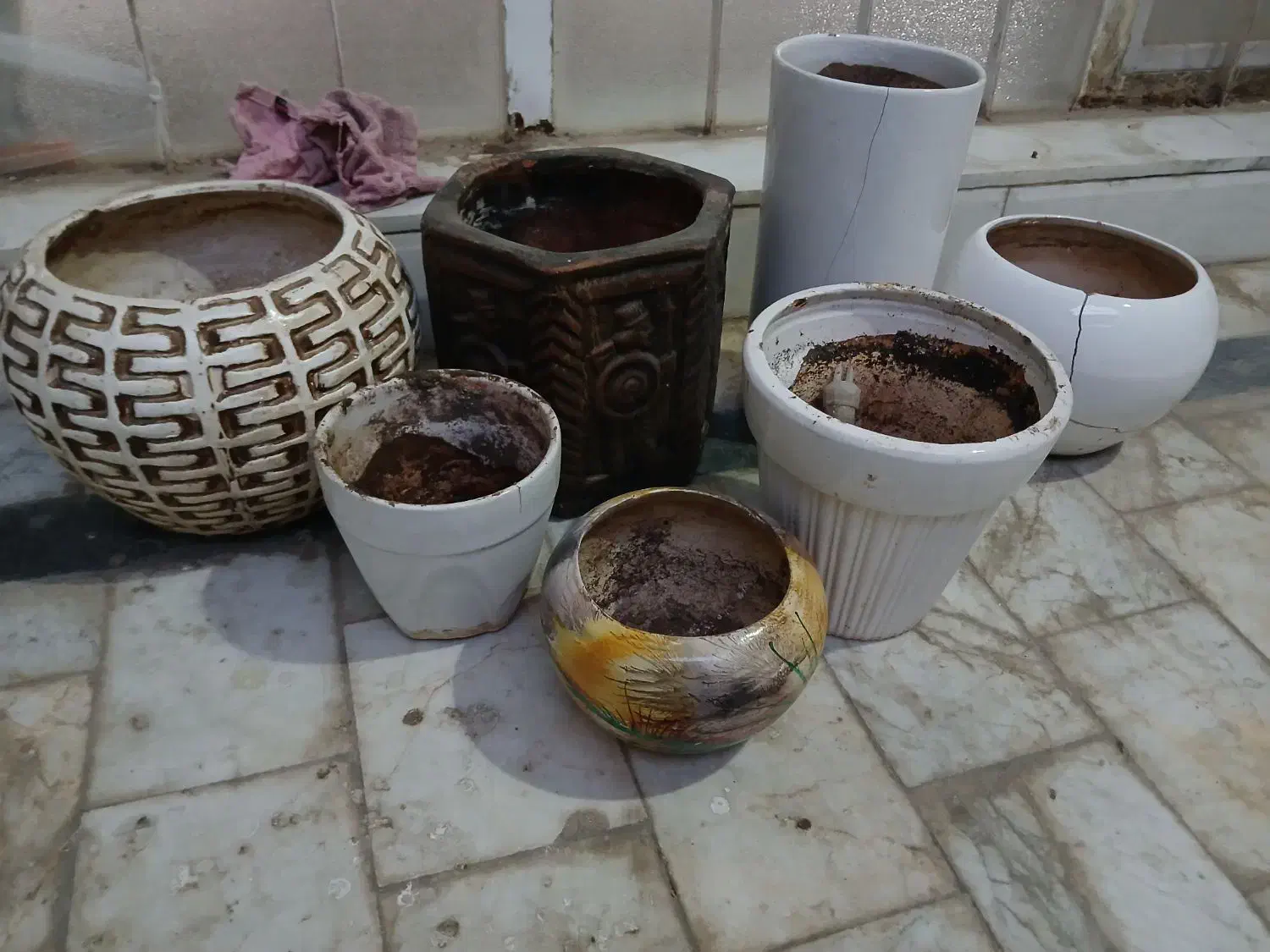 گلدان سفالی و سرامیکی|گل و گیاه طبیعی|قم, شهدا|دیوار