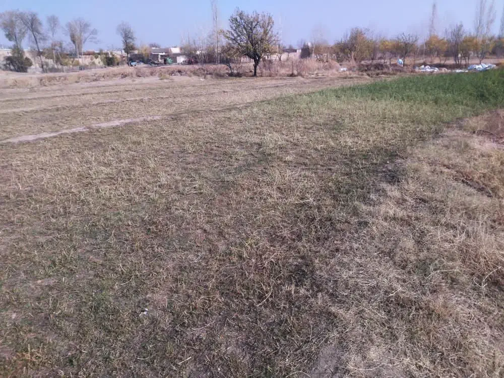 زمین|فروش زمین و ملک کلنگی|یامچی, |دیوار