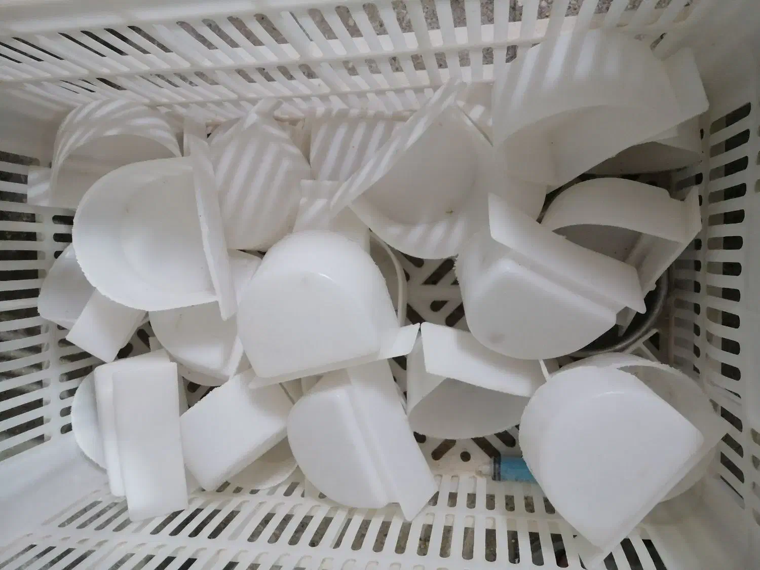 کاسکویی ظرف|لوازم جانبی حیوانات|شیراز, کاراندیش|دیوار