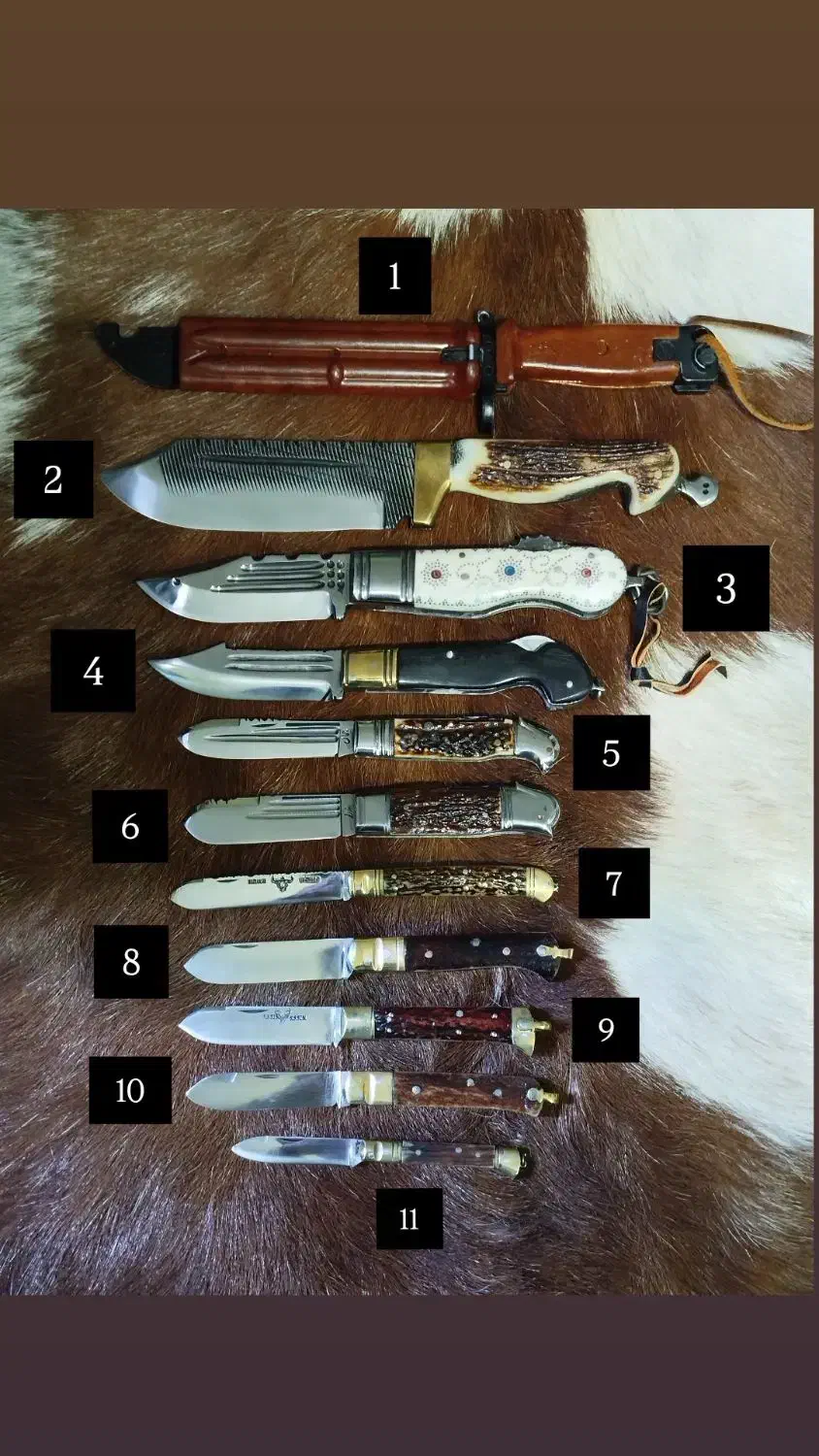 انواع چاقوهای فوق کلکسیونی دسته شاخ بکر و زیبا|کلکسیون اشیاء عتیقه|کرمانشاه, |دیوار