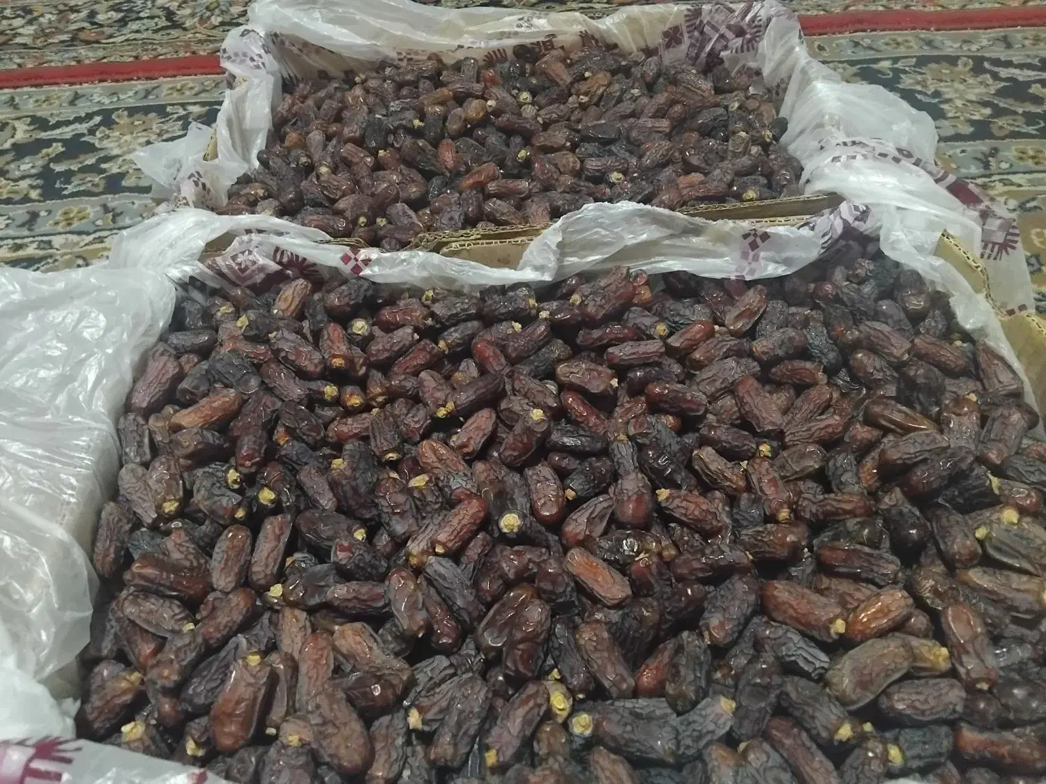 خرما پیارم|عمده‌فروشی|برازجان, |دیوار