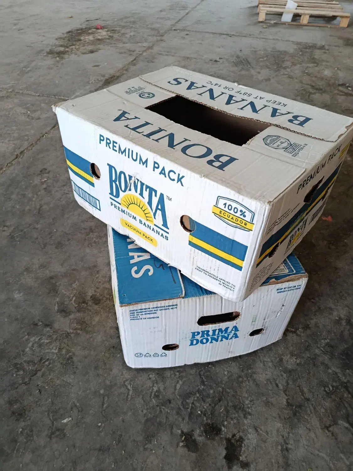 کارتن موزی عمده و خورده (اسباب کشی)|عمده‌فروشی|شیراز, گچی|دیوار