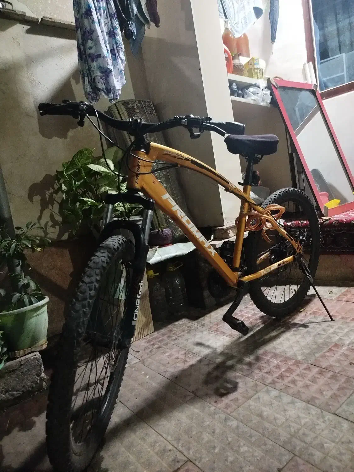 دوچرخه حرفه ای|دوچرخه، اسکیت، اسکوتر|رشت, کوی قدس|دیوار