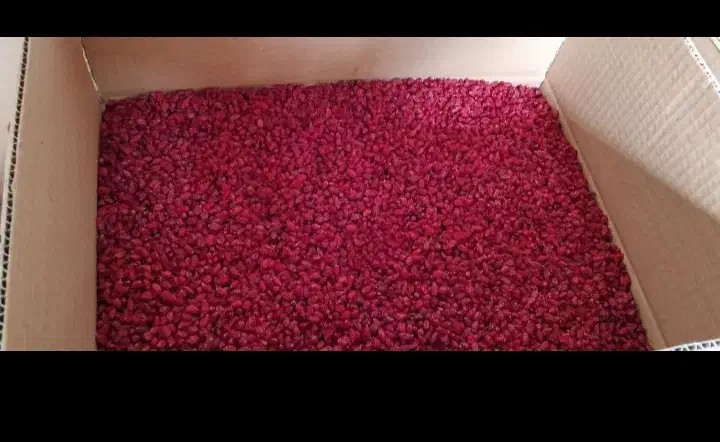 زرشک تازه ابداروخشکبار بیرجند|خوردنی و آشامیدنی|قرچک, زیبا شهر|دیوار