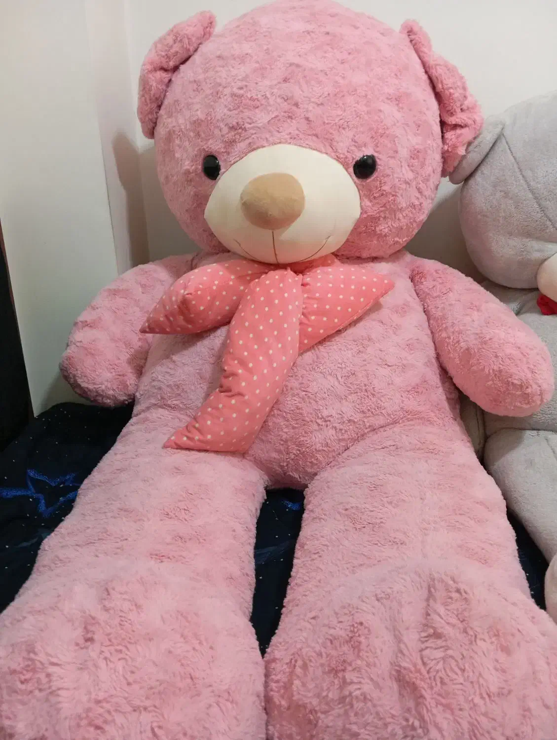 خرس|اسباب‌‌بازی|تهران, خرمشهر|دیوار