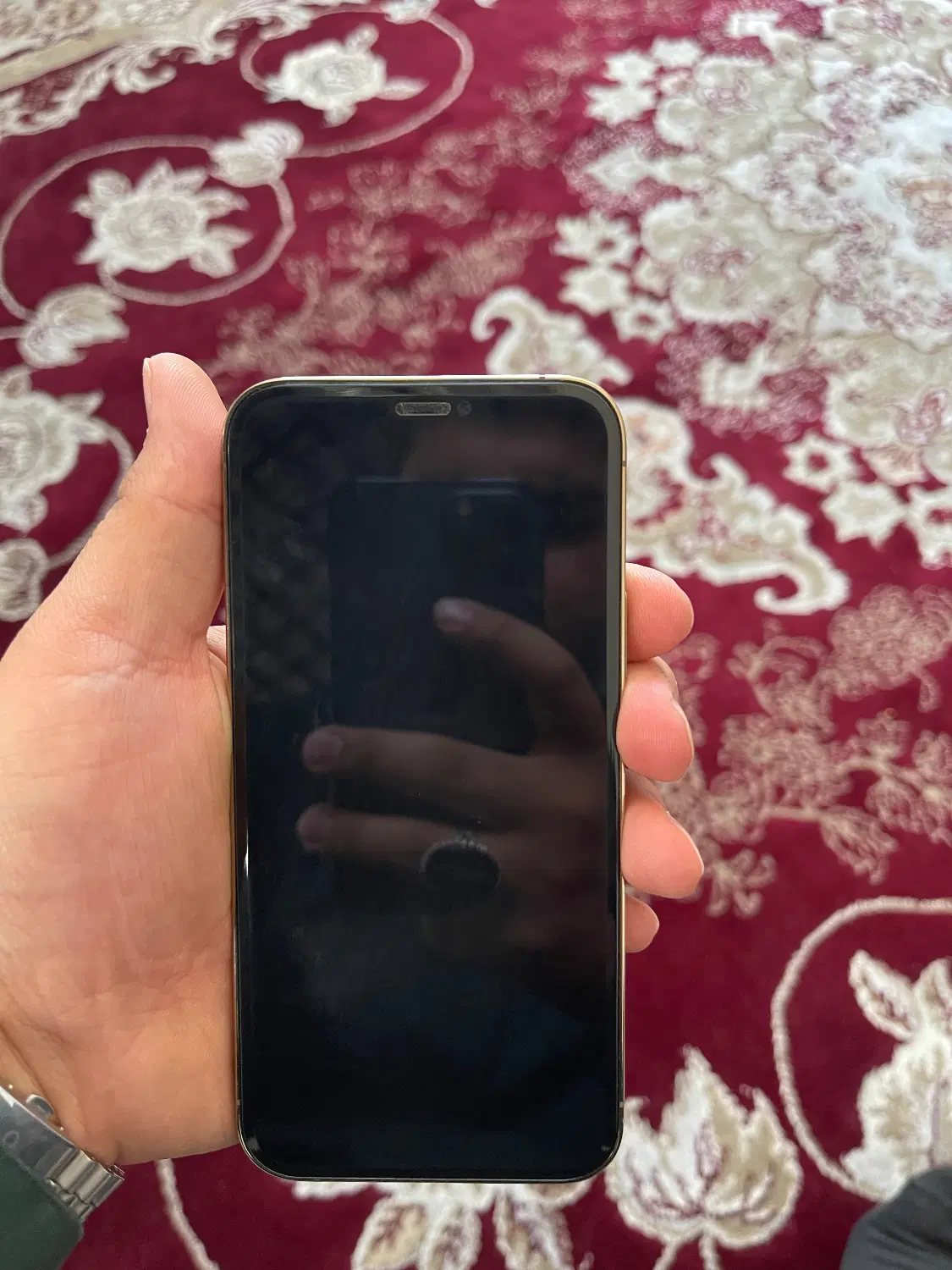 iPhone 12pro|موبایل|بیرجند, |دیوار