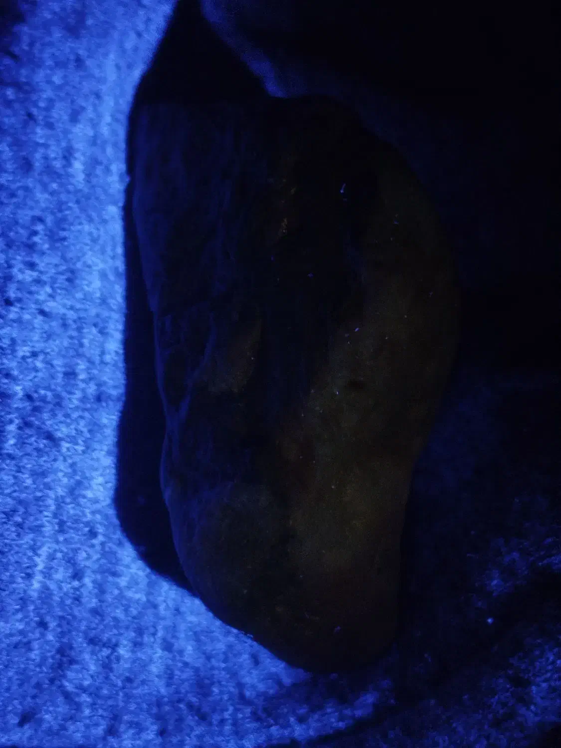 سنگ قیمتی|کلکسیون اشیاء عتیقه|سهند, |دیوار