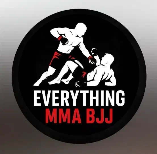 آموزش حرفه ای MMA|خدمات آموزشی|رشت, سعدی (تختی)|دیوار