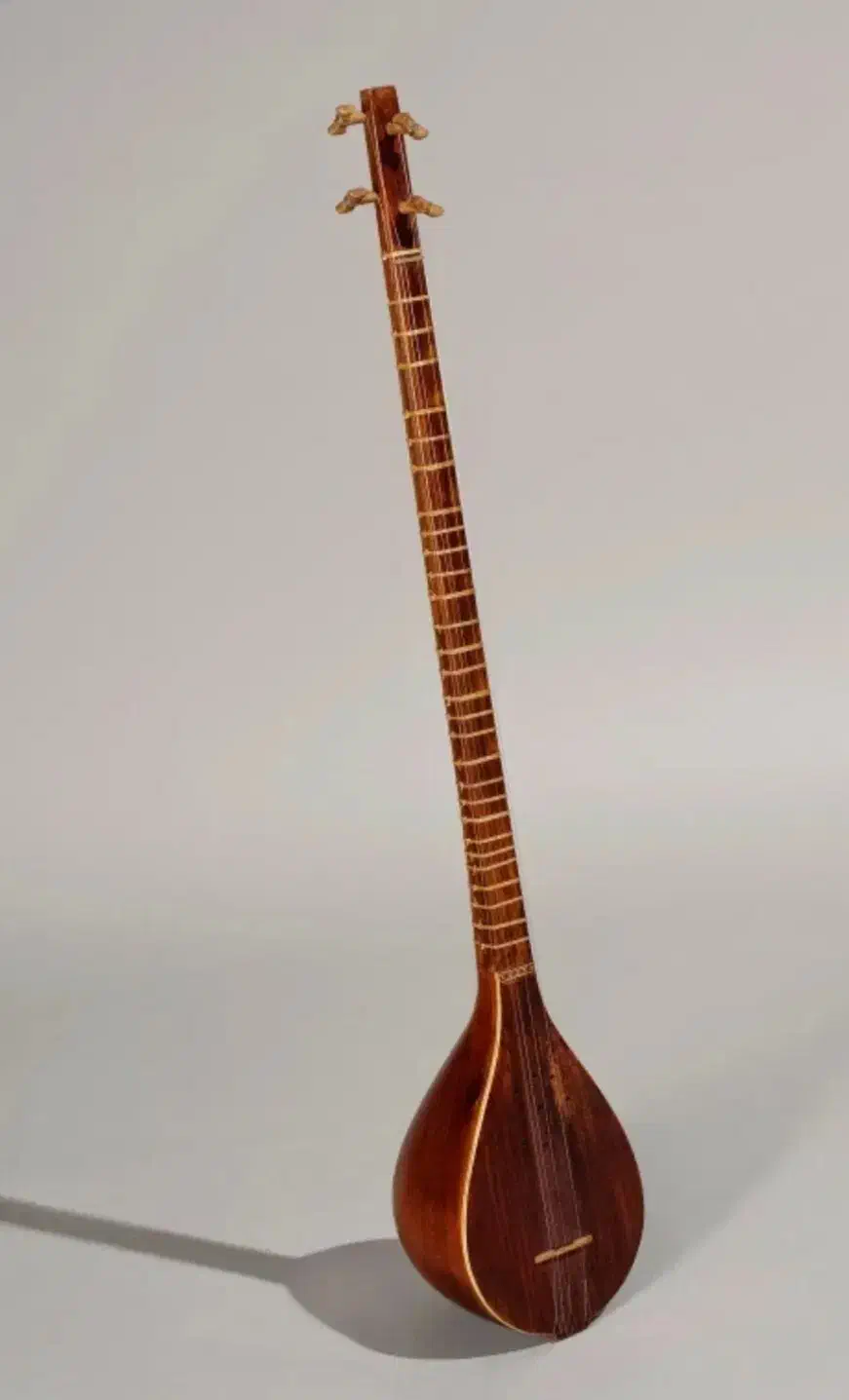 سه تار فروشی در حد نو|سازهای سنتی|دهلران, |دیوار