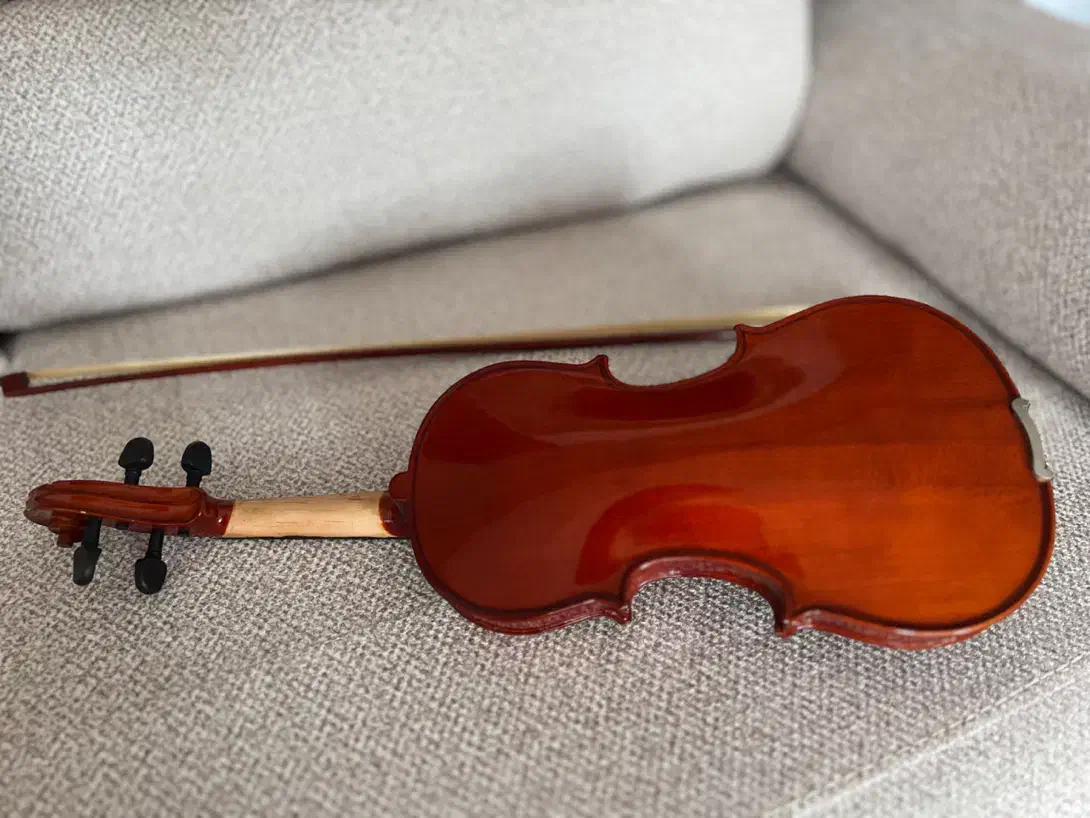 ویلن سایز3/4|ویولن|سنندج, |دیوار