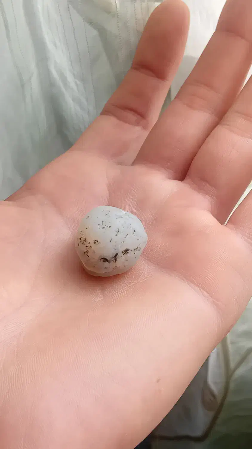 نشان عقیق|کلکسیون اشیاء عتیقه|رشت, منظریه|دیوار