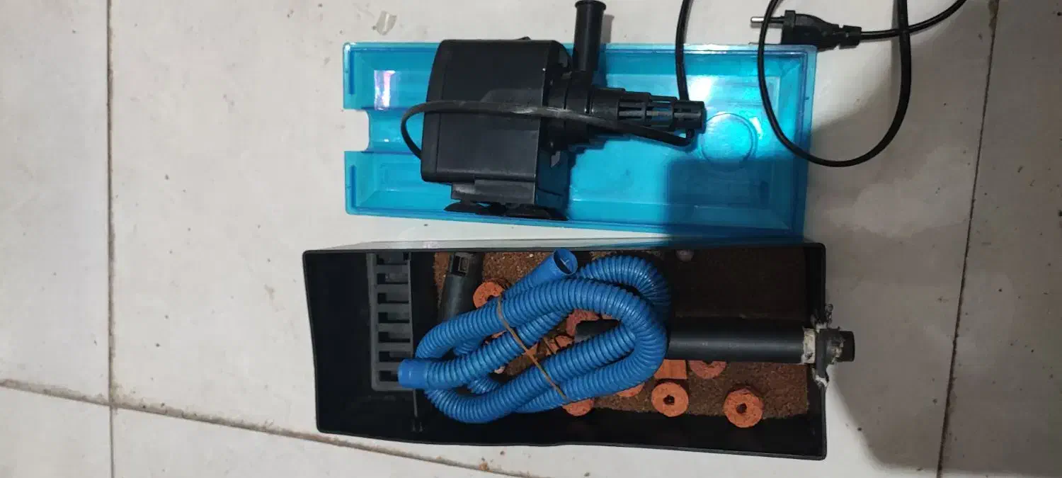 تاپ فیلتر|ماهی|شیراز, تندگویان|دیوار