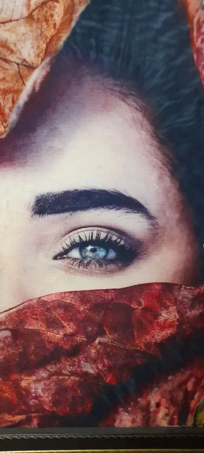 تابلو فرش|تابلو فرش|تهران, صد دستگاه|دیوار