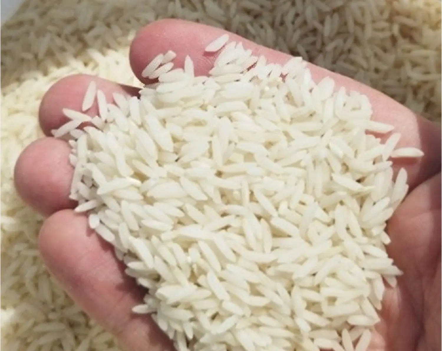 برنج|خوردنی و آشامیدنی|تهران, شهرک فرهنگیان|دیوار