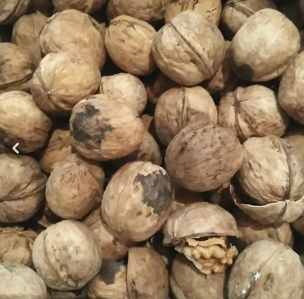 فروش گردو|خوردنی و آشامیدنی|نهاوند, |دیوار