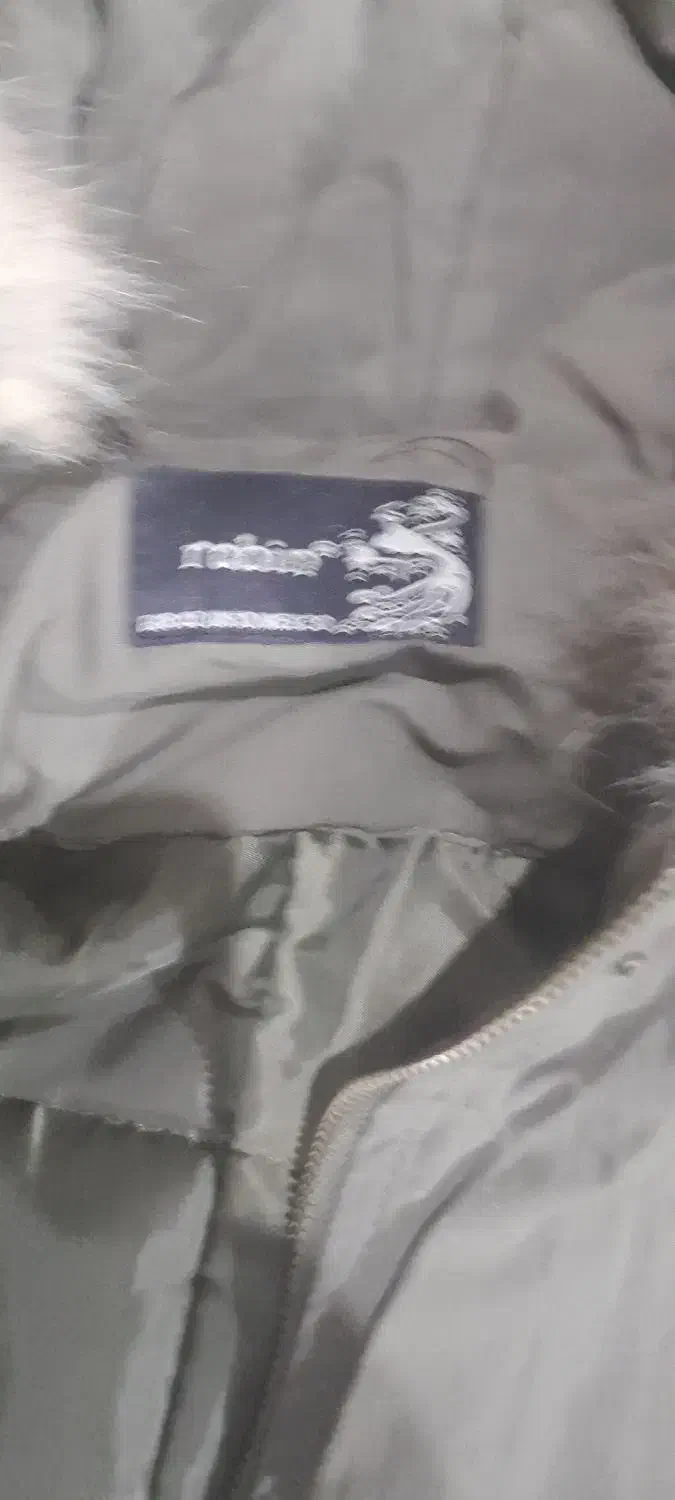 کاپشن مردانه و زنانه|لباس|میانه, |دیوار