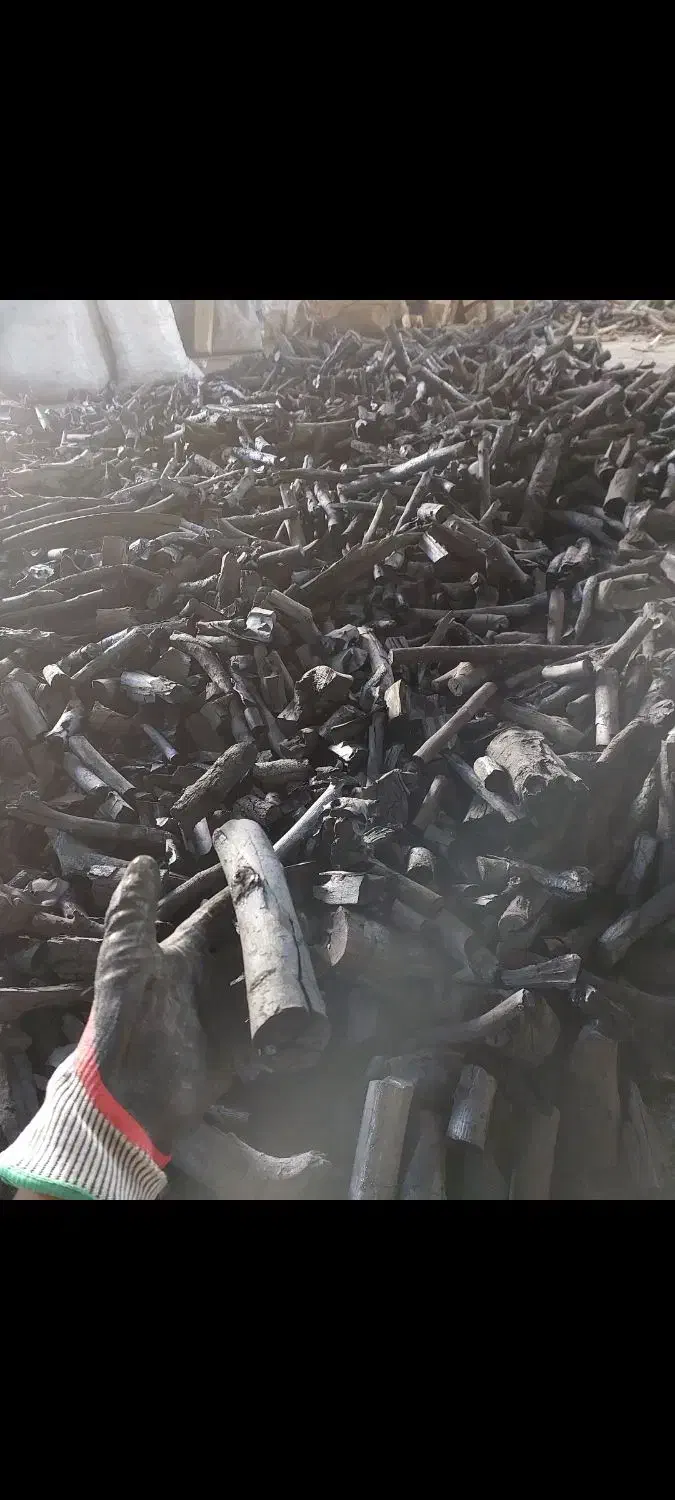 کارگر ساده تولیدی ذغال مهرآباد رودهن|استخدام صنعتی، فنی، مهندسی|رودهن, |دیوار