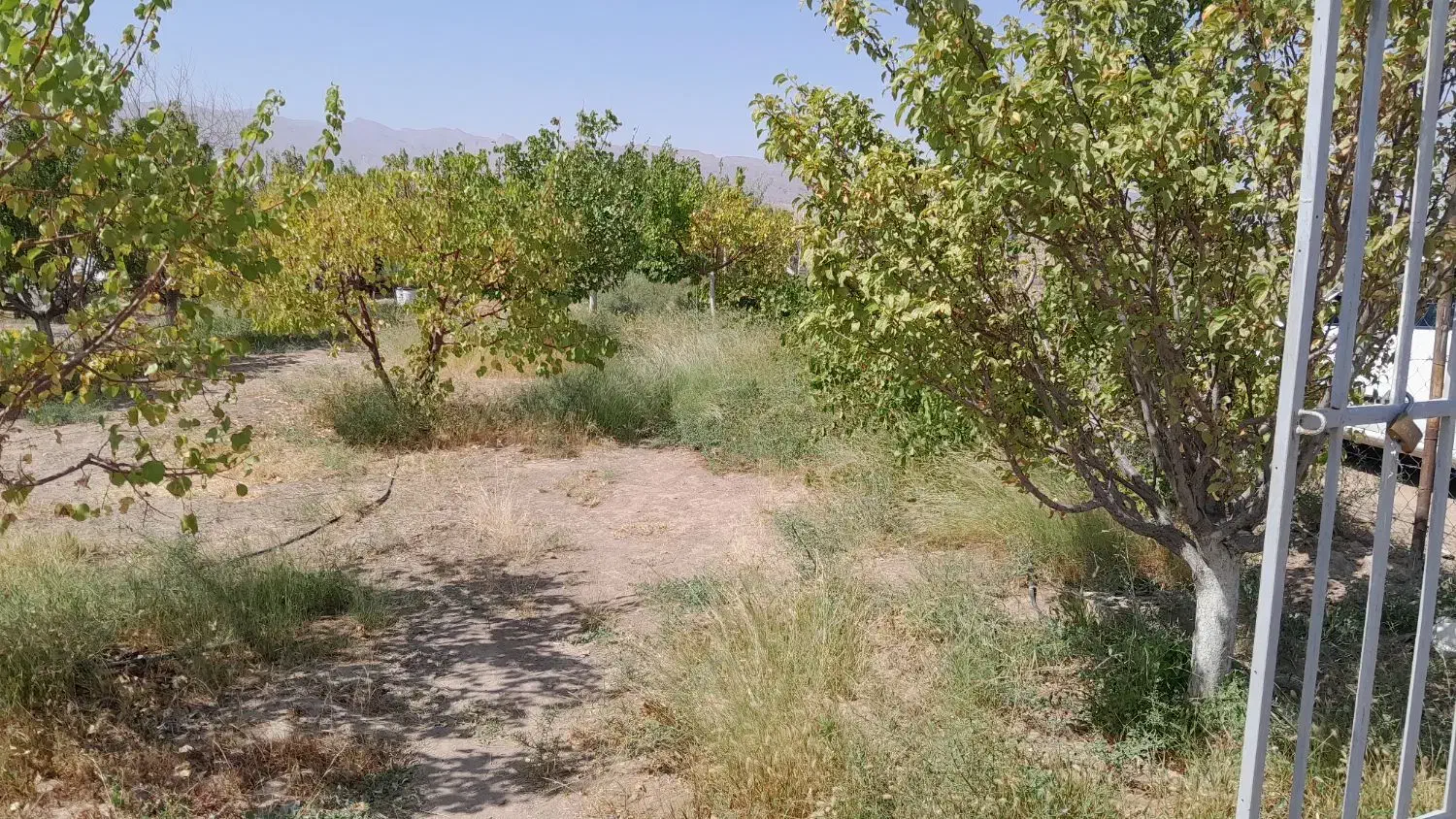 فروش باغ درجلفا روستای سیلگرد|فروش خانه و ویلا|جلفا, |دیوار