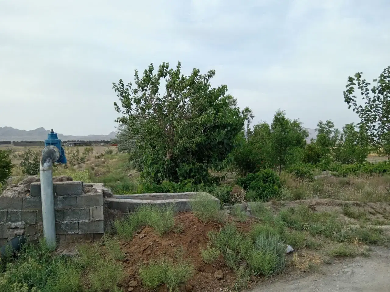 تصویر 2