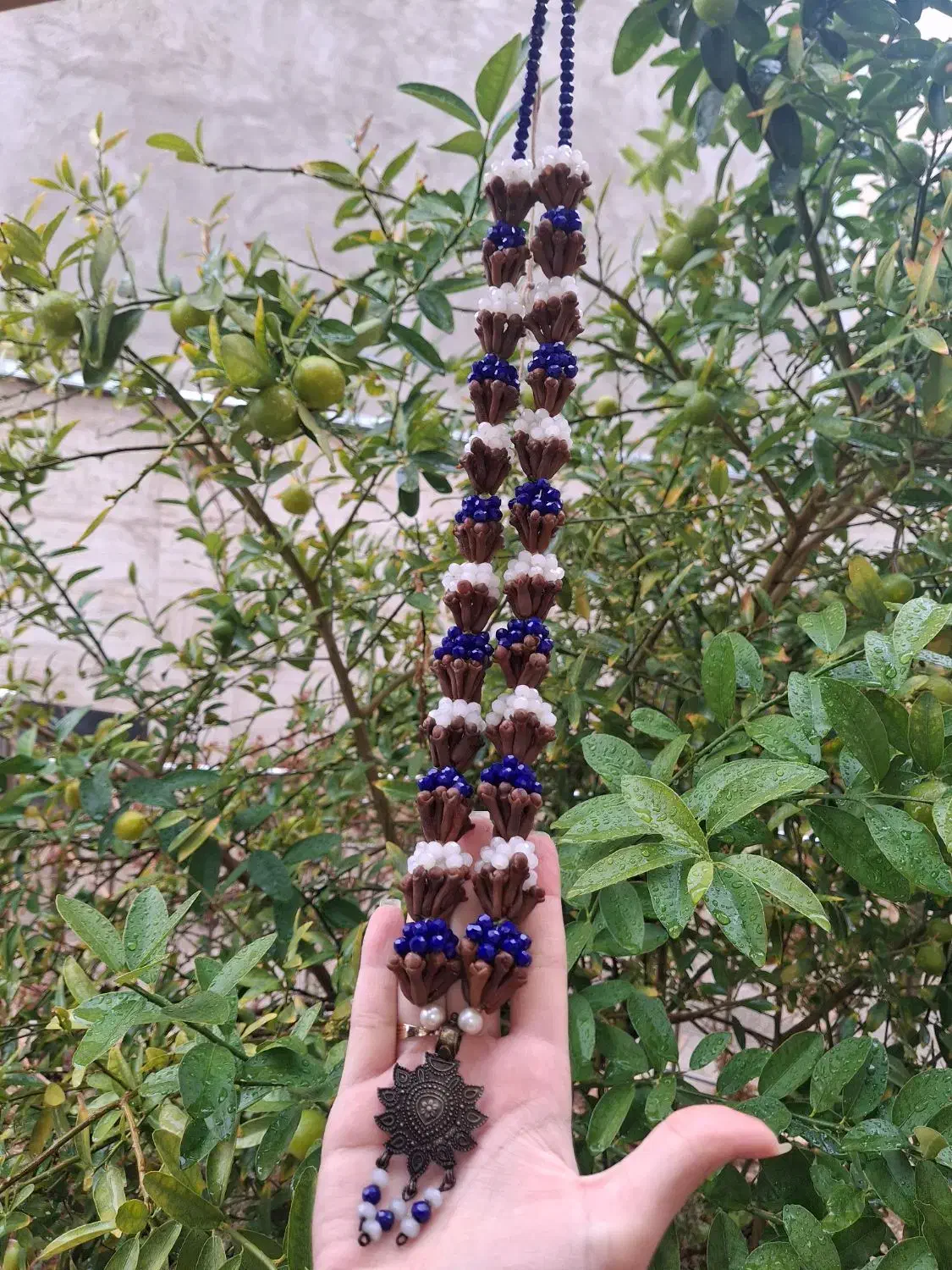 میخک|بدلیجات|شیراز, شهرک مخابرات|دیوار