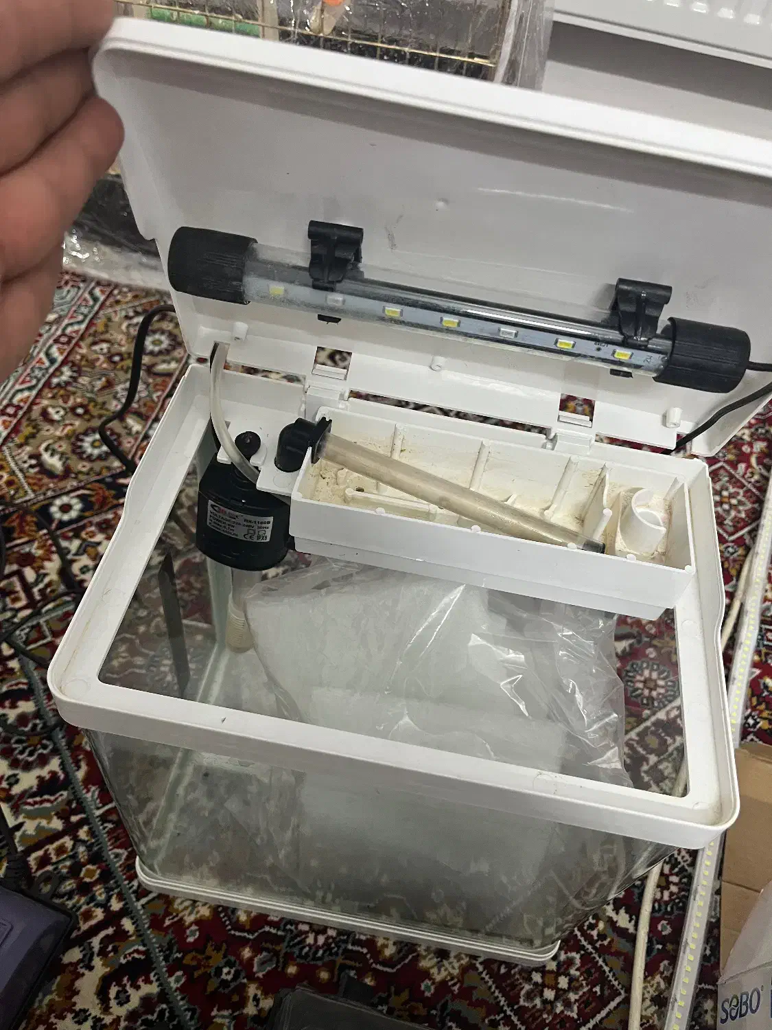 اکواریوم کوچک و بزرگ با لوازم|ماهی|مشهد, امیریه|دیوار