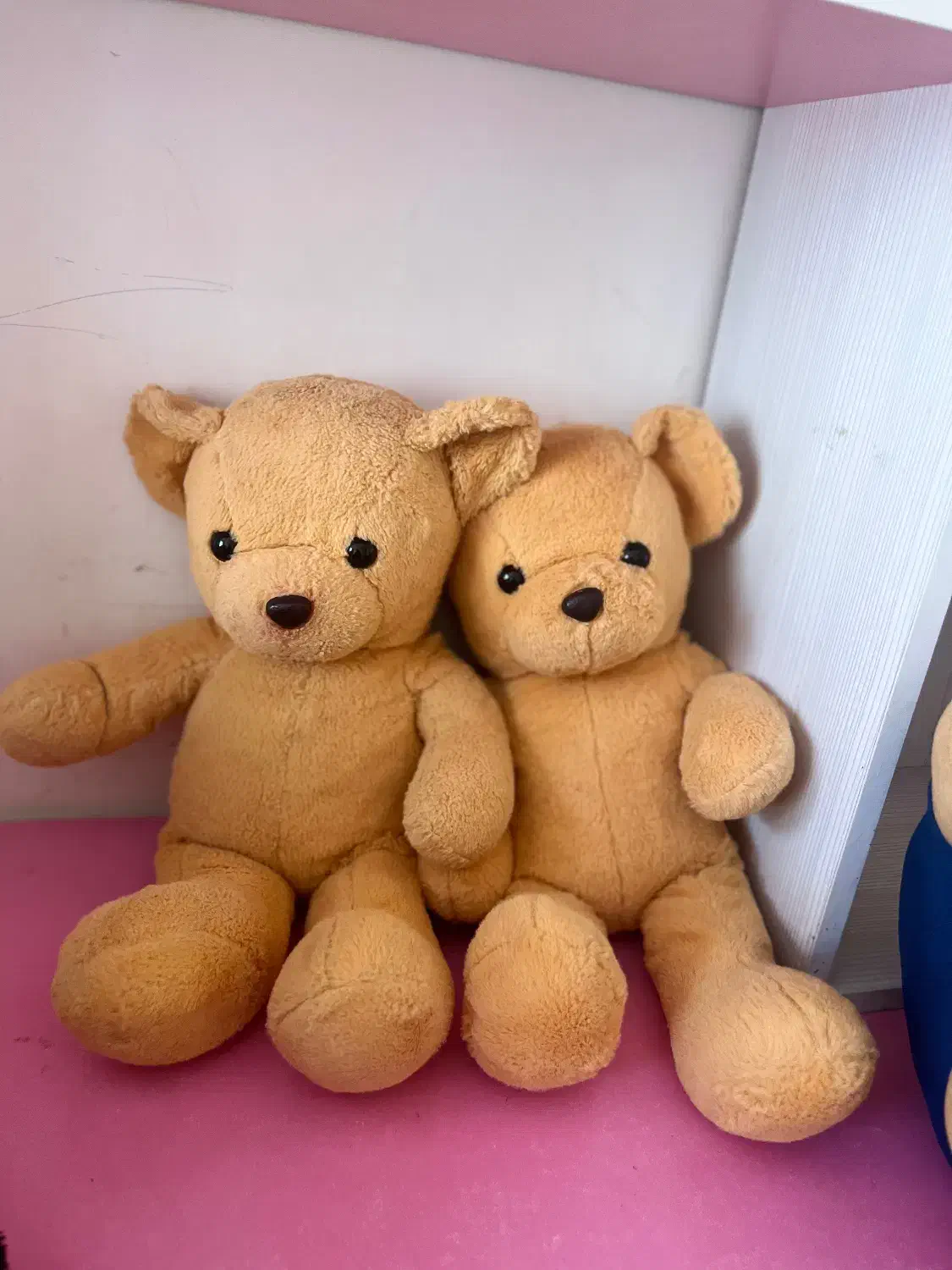 عروسک نو|اسباب‌بازی بچه|ساوه, |دیوار