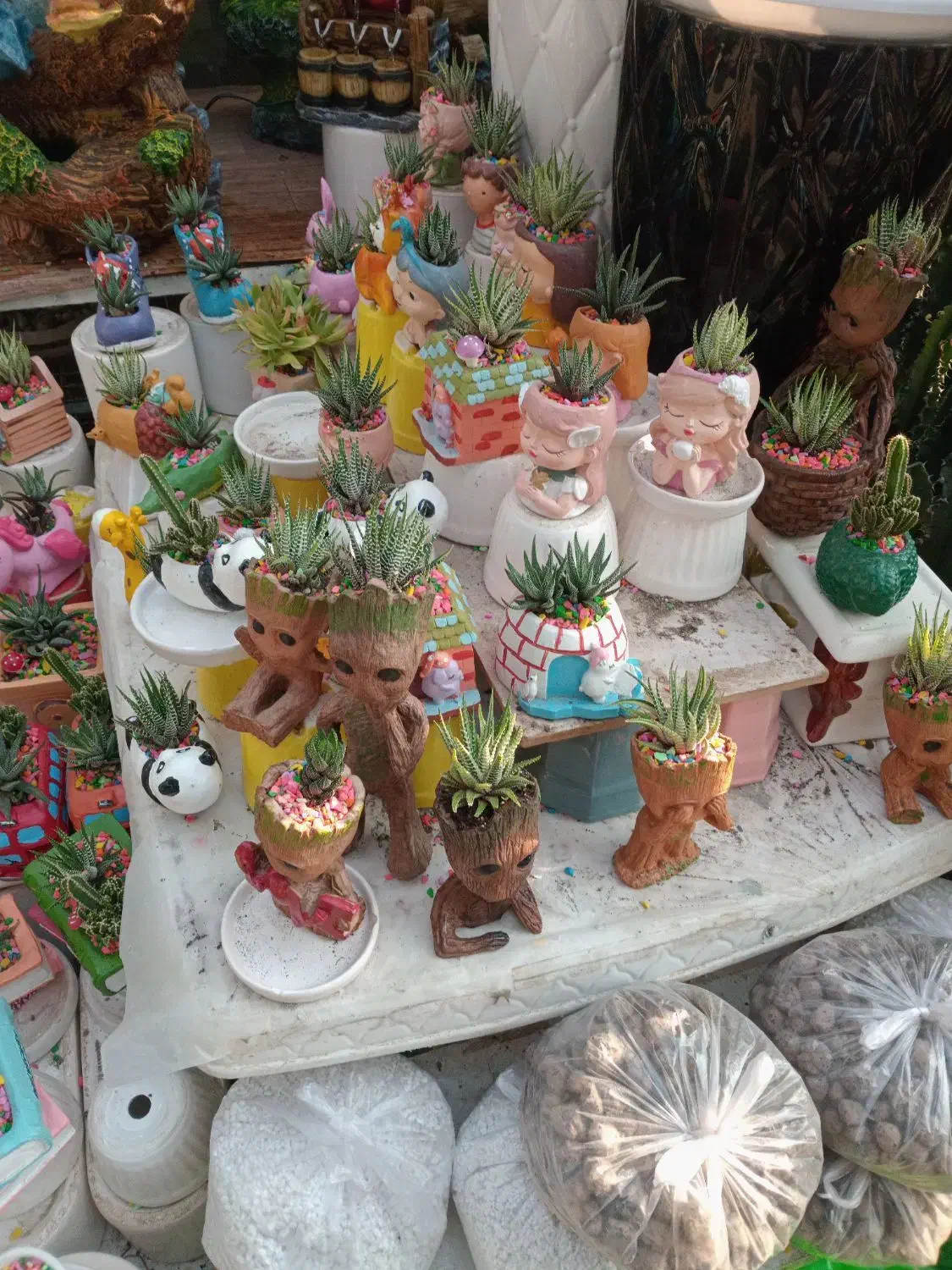 کاکتوس و مجسمه فانتزی برای شرکت ها اداره ها.منازل|گل و گیاه طبیعی|تهران, بازار|دیوار