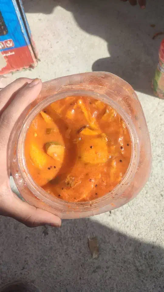 ترشی انبه پاکستانی|عمده‌فروشی|میرجاوه, |دیوار