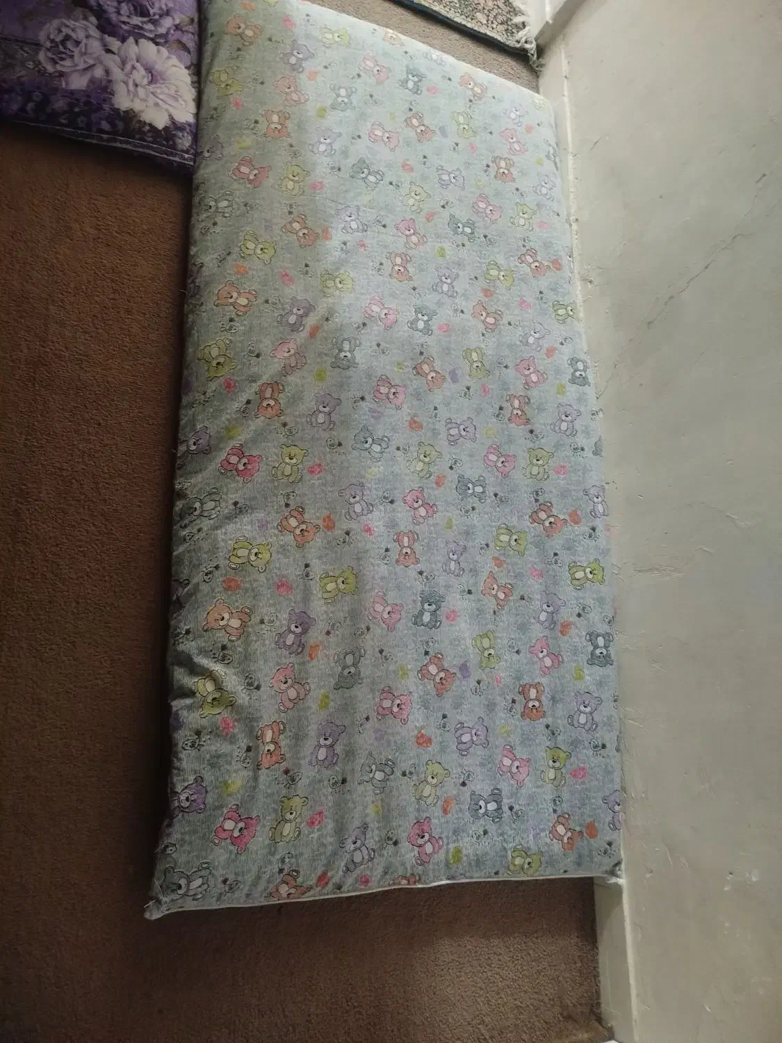 دوعددتشک پشمی نو|رختخواب، بالش، پتو|مسجد سلیمان, |دیوار