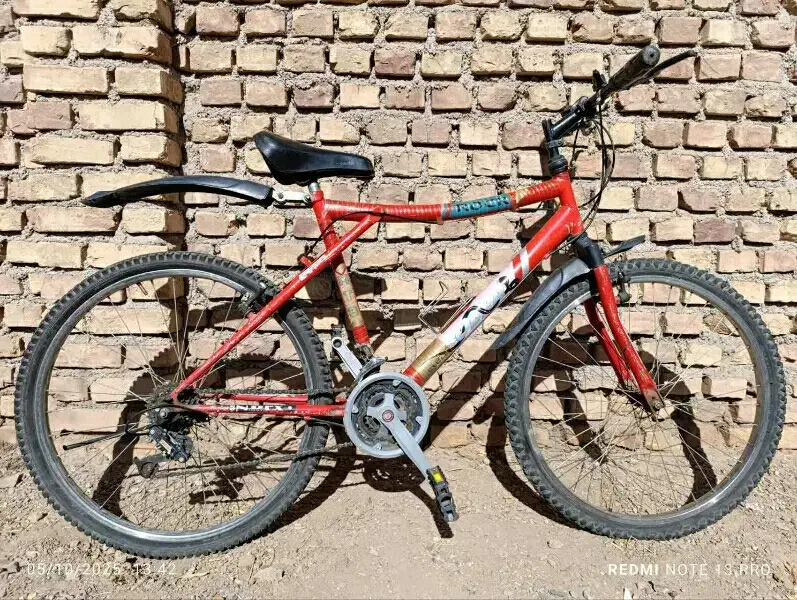 دوچرخه سالم|دوچرخه، اسکیت، اسکوتر|فردوس (خراسان), |دیوار