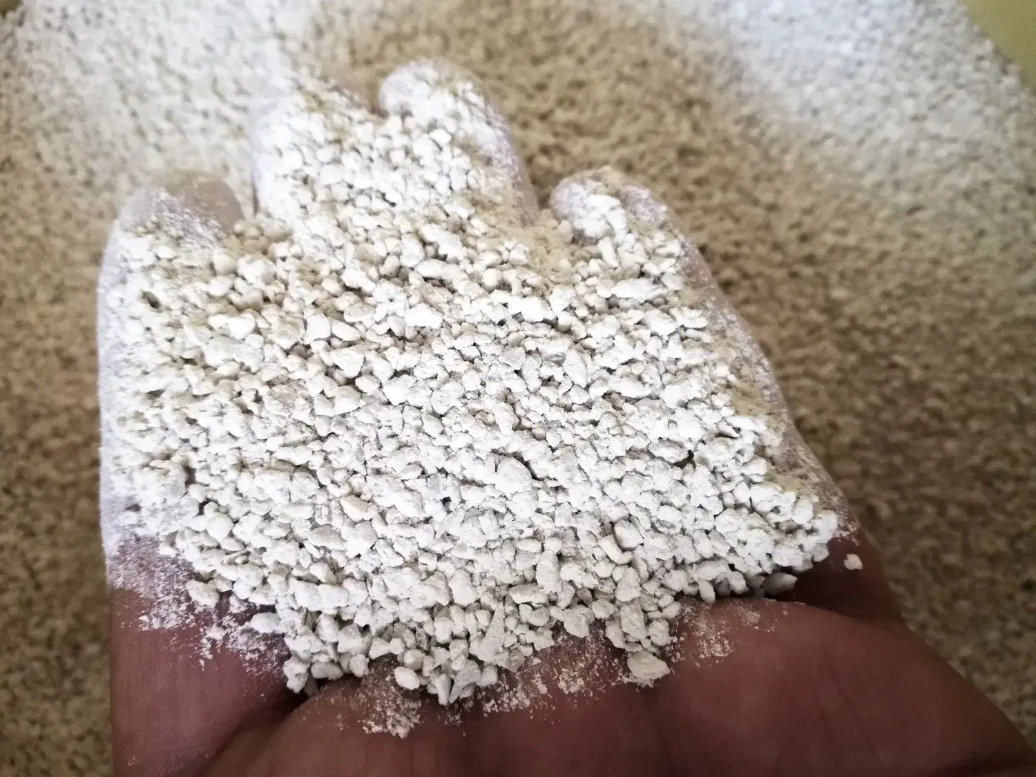 مینرال صدف طبیعی خرد شده ی کبوتر|پرنده|شیراز, گلکوب|دیوار