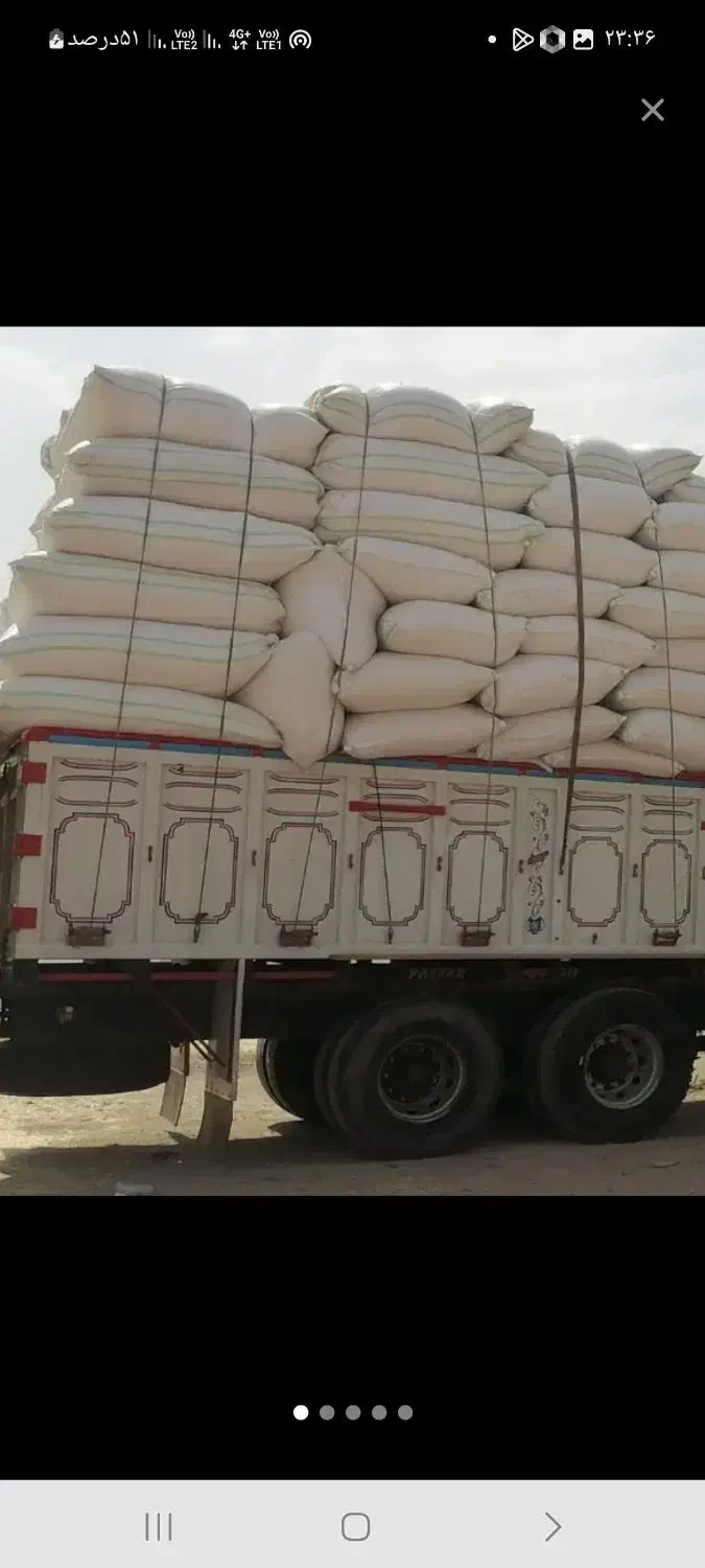 خرید وفروش کاه نرم و کاه کوب|خدمات باغبانی و درختکاری|نیشابور, مازول|دیوار