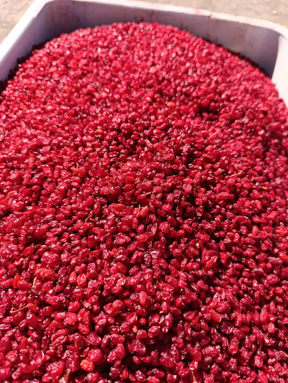 زرشک زیر تالاری و اناری|خوردنی و آشامیدنی|سده (خراسان جنوبی), |دیوار