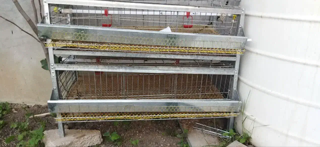 قفس جوجه و بلدرچین|لوازم جانبی حیوانات|چمستان, |دیوار