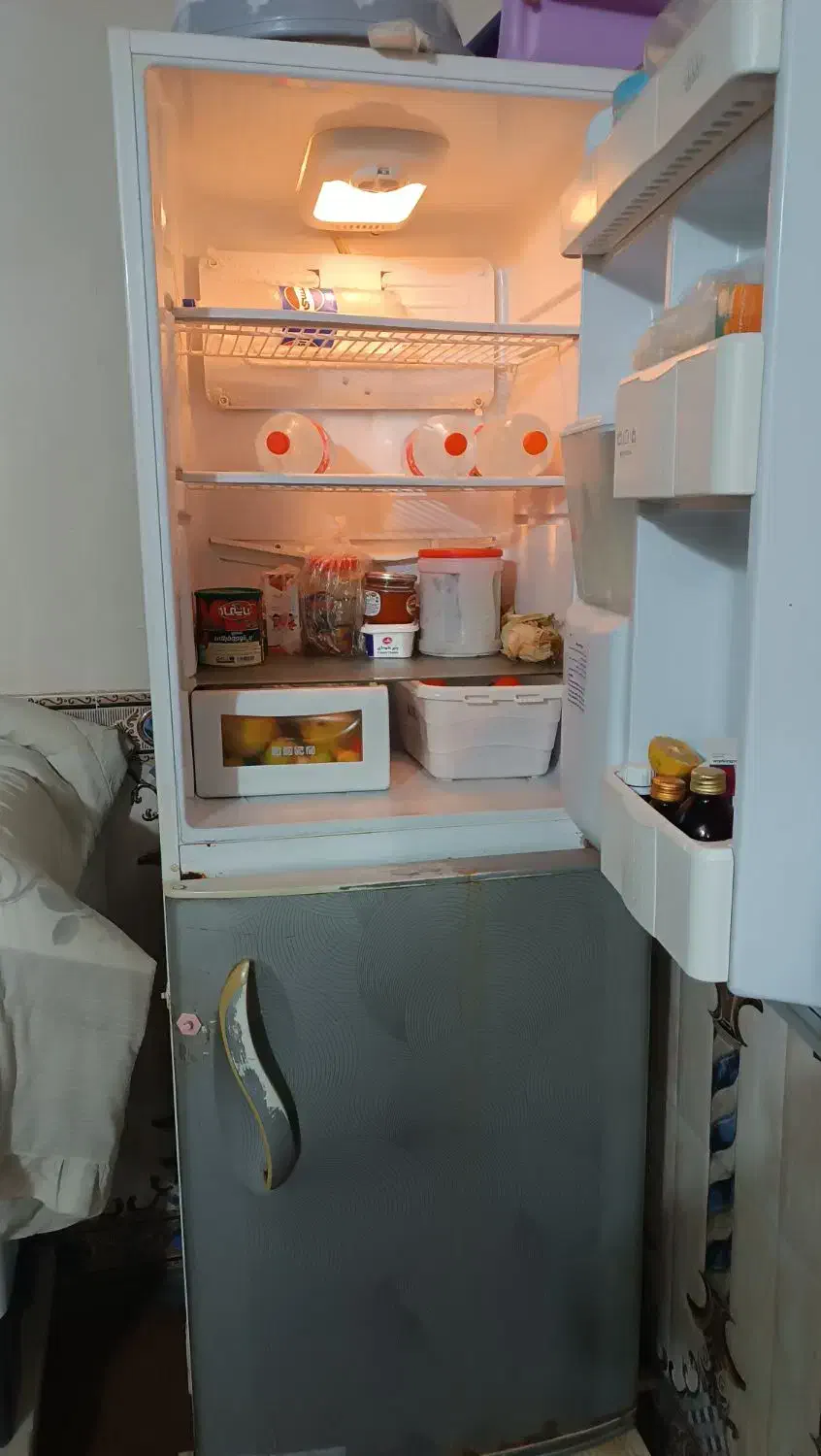 یخچال ایرانی|یخچال و فریزر|کنارک, |دیوار