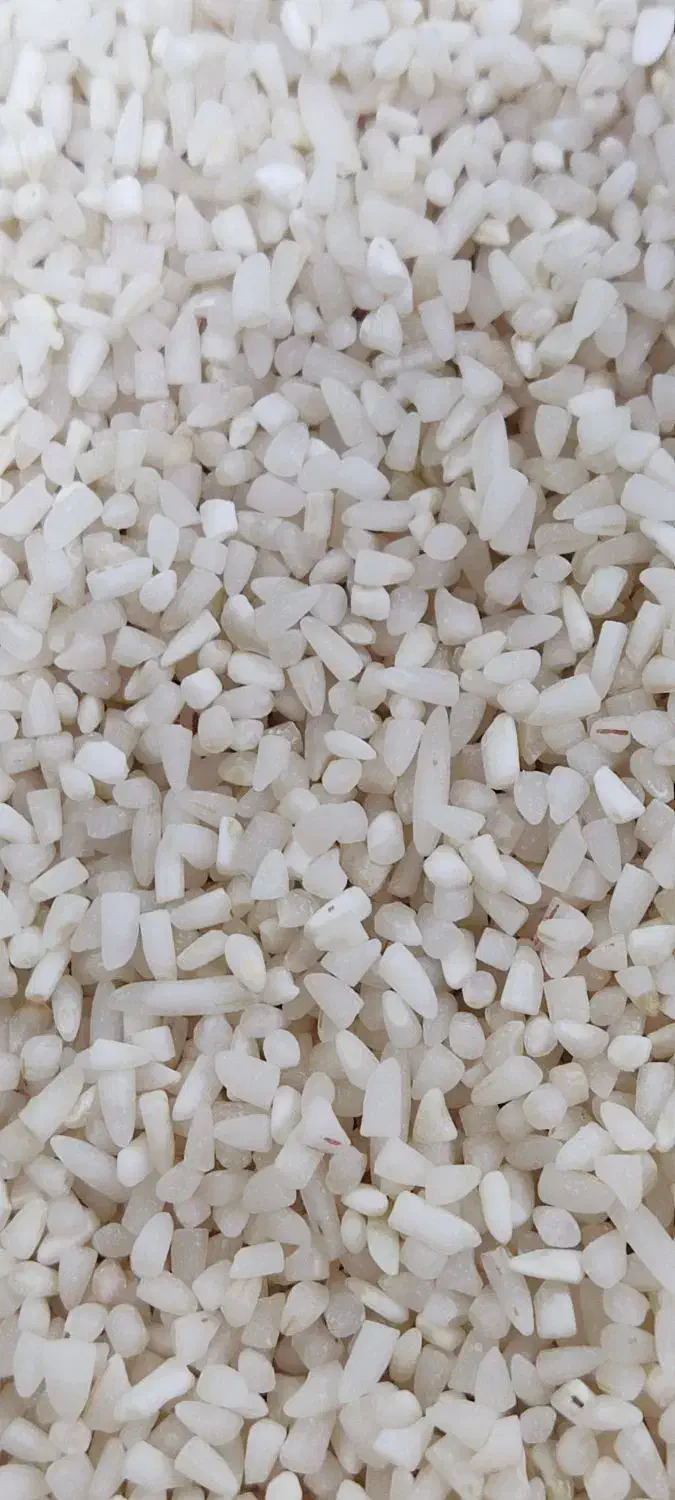 لاشه هاشمی آستانه اشرفیه|خوردنی و آشامیدنی|قم, یخچال قاضی|دیوار