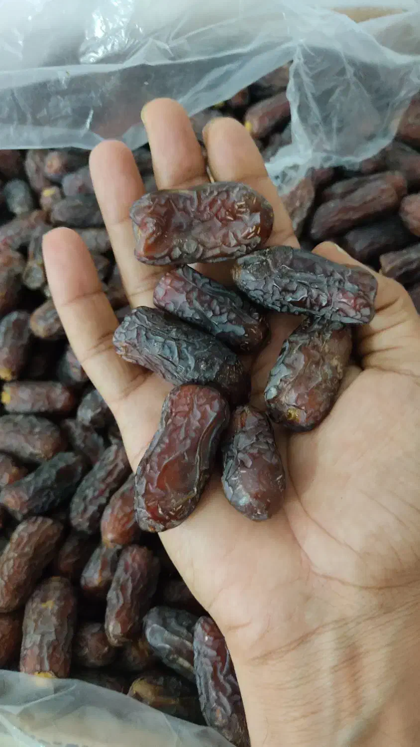 خرمای درجه یک پیارم حاجی آباد|حراج|حاجی آباد, |دیوار