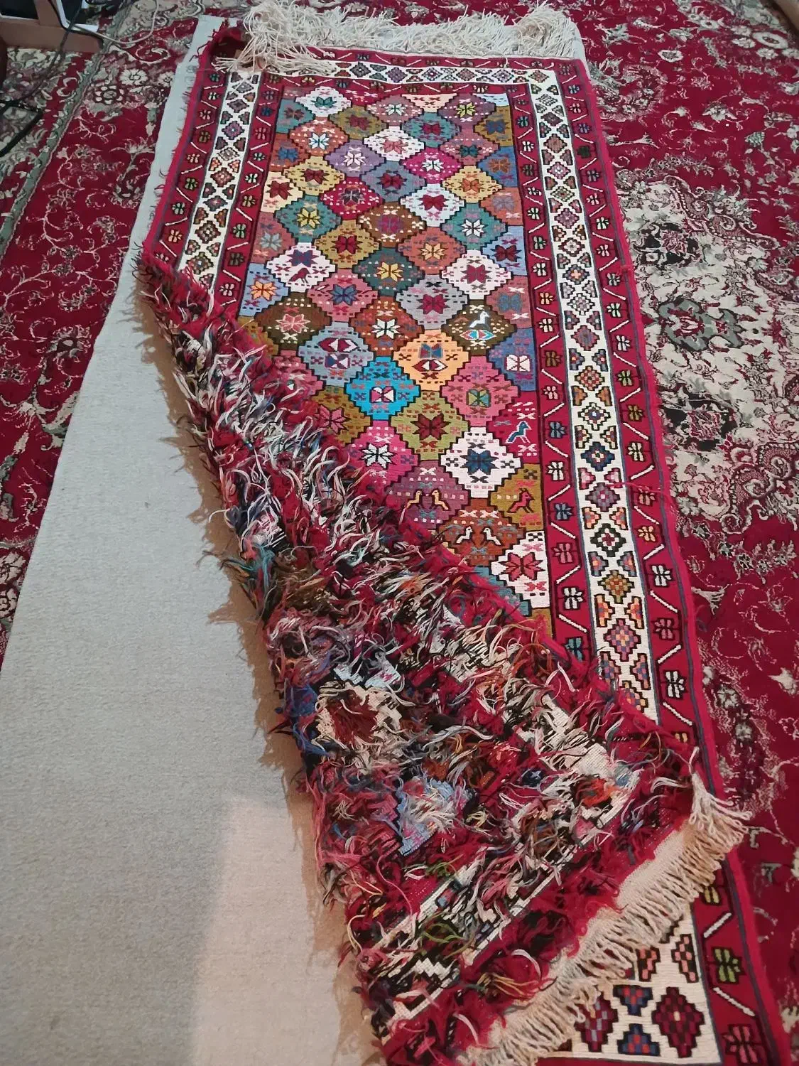 ورنی|گلیم، جاجیم، گبه|تبریز, |دیوار