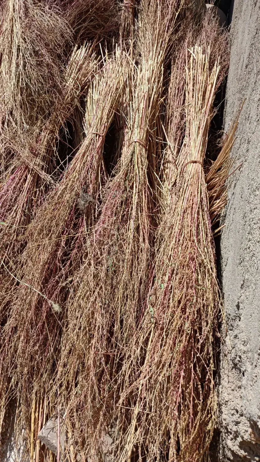 جارو محلی|لوازم نظافت|نورآباد, |دیوار