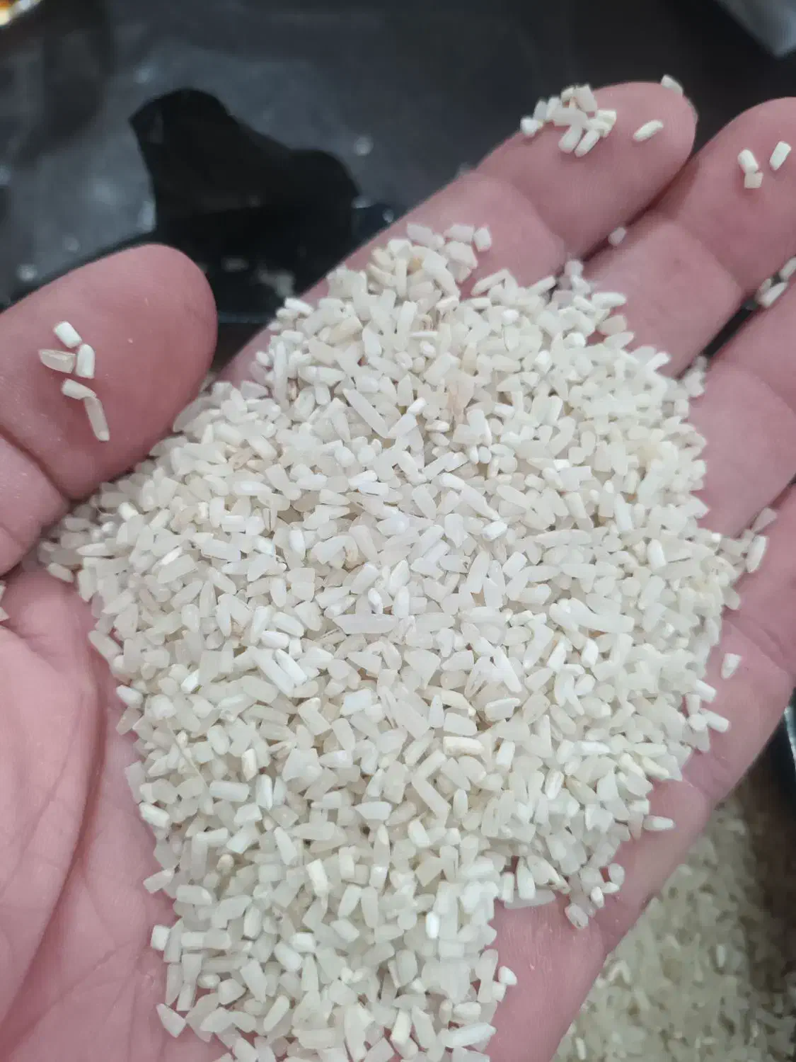 لاشه هاشمی دودی|عمدهفروشی|تهران, شهرک فردوس (حسینی)|دیوار