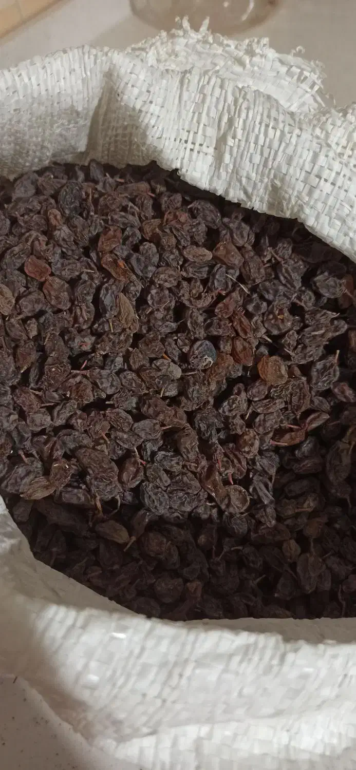 کشمش|خوردنی و آشامیدنی|کامیاران, |دیوار