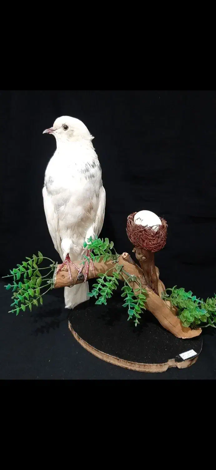 مجسمه|مجسمه، تندیس، ماکت|تهران, نازی‌آباد|دیوار