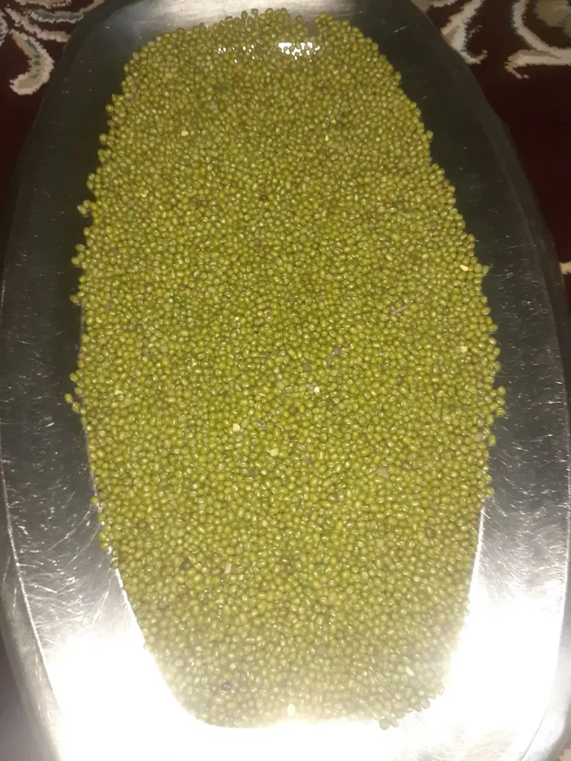 ماش محلی خوش پخت|خوردنی و آشامیدنی|پلدختر, |دیوار