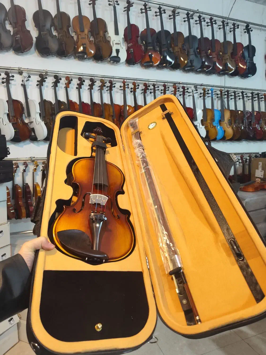 ویولن خارجی ویلن رز وود|ویولن|شیراز, وصال|دیوار