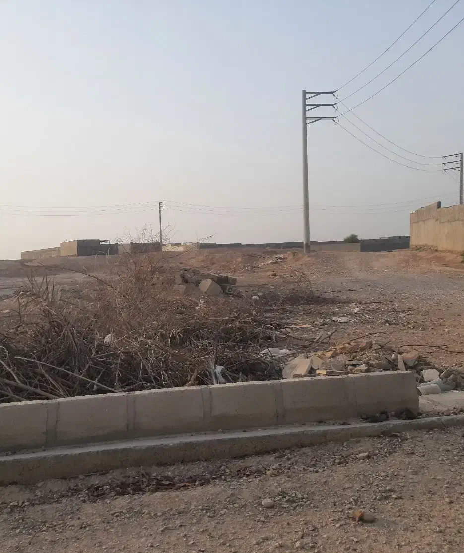 زمین دیلم|فروش زمین و ملک کلنگی|دیلم, |دیوار