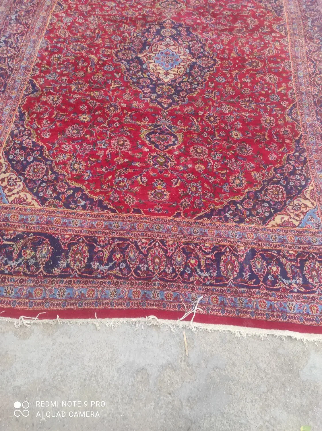 دو عدد فرش دستباف|فرش|قوچان, |دیوار